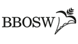 III Региональный слет BBOSW 2016